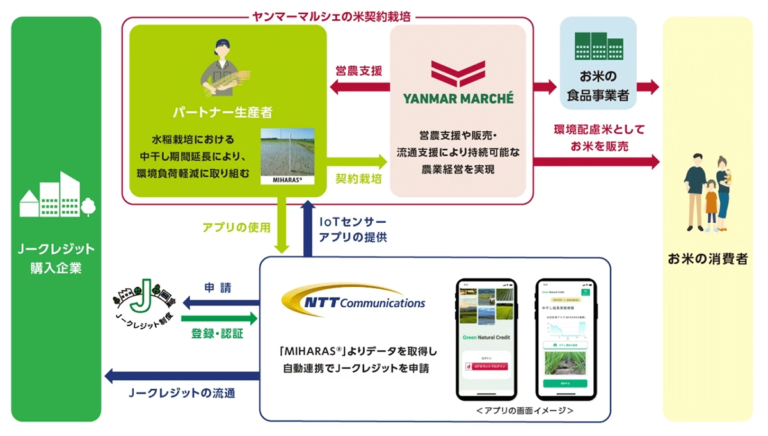 ヤンマーマルシェとNTT Com、「水稲栽培における中干し期間延長の方法論」 によりJ-クレジットを創出、NTT Comが販売を開始