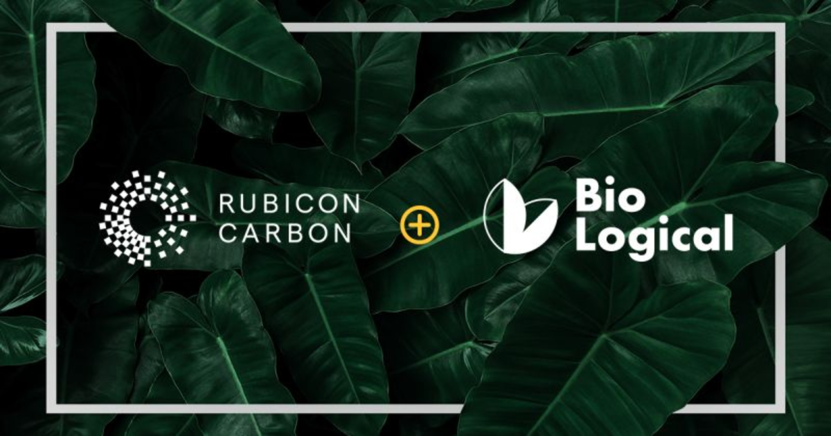 「Rubicon Carbon　ケニア発バイオ炭由来のカーボンクレジットに合意　「100万トン除去と100万人農家支援」目標」のアイキャッチ画像