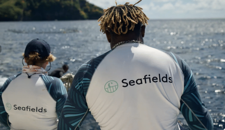 「サルガッサム危機」を気候資産に転換　英Seafields、海藻CDR事業で追加資金調達