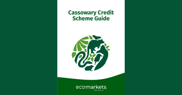 オーストラリアの生物多様性クレジットとは?Cassowary Creditsのガイドラインや方法論をわかりやすく解説