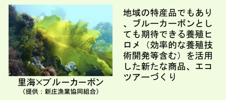 参院選候補者「ブルーカーボンクレジット」で地方創生を訴え 和歌山発の地域活性モデル構築を訴え