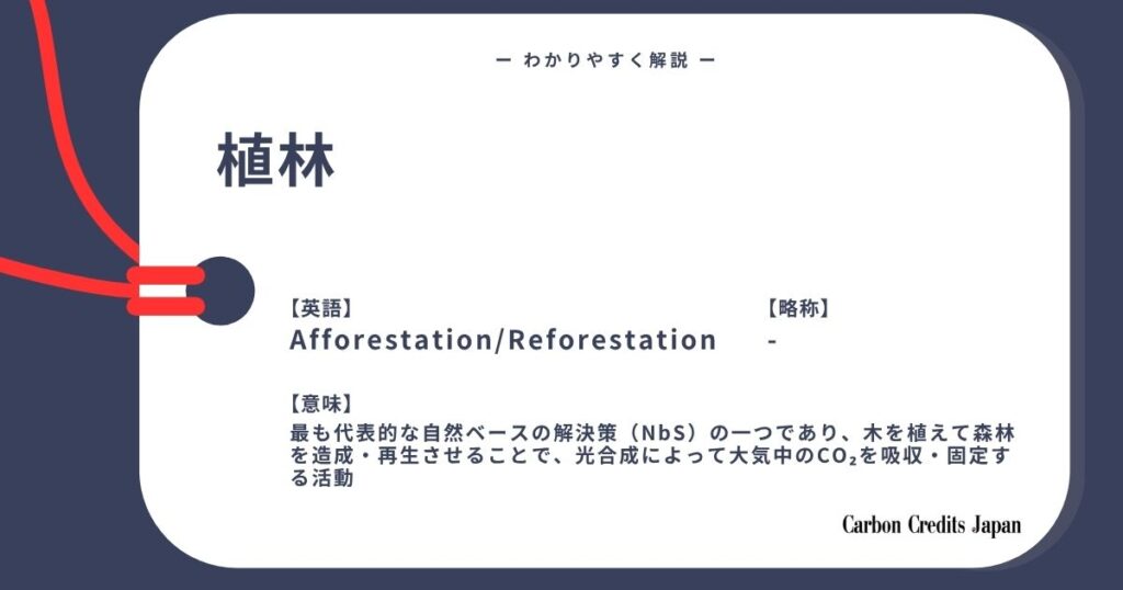 植林・ARRとは？わかりやすく解説｜What Is Afforestation and Reforestation?