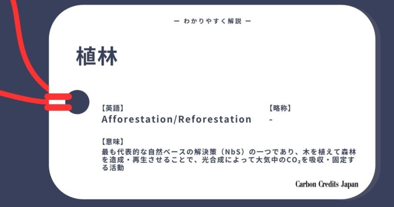 植林とは？わかりやすく解説｜What Is Afforestation and Reforestation?