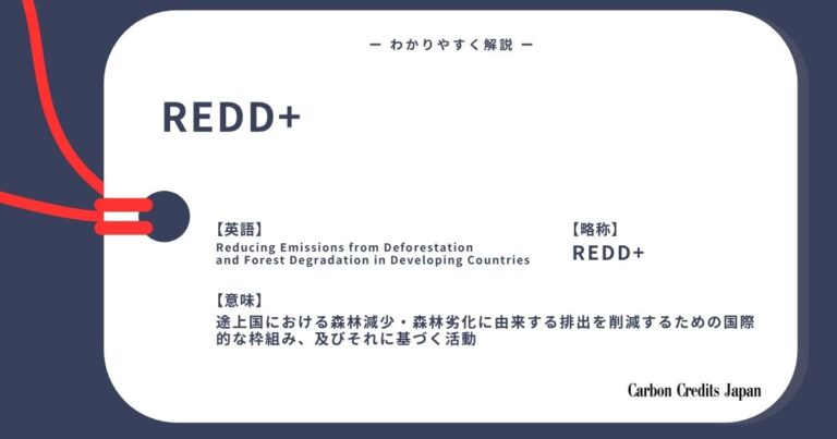 REDD+とは？わかりやすく解説｜What Is REDD+?