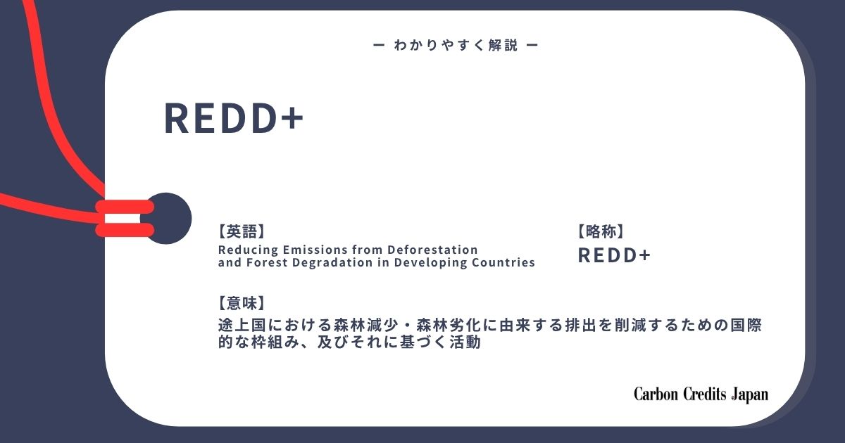 「REDD+とは？わかりやすく解説｜What Is REDD+?」のアイキャッチ画像