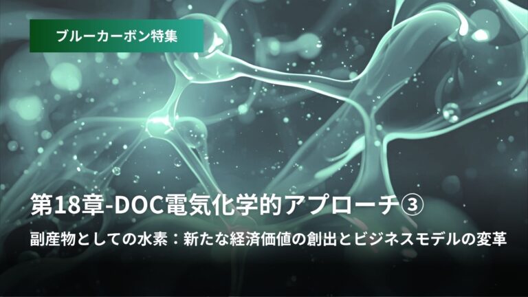 ブルーカーボン特集：第18章 – DOC電気化学的アプローチ  ③副産物としての水素  新たな経済価値の創...