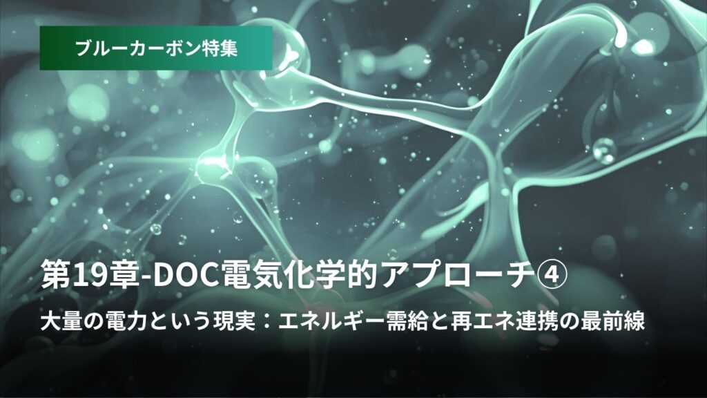 ブルーカーボン特集：第19章-DOC電気化学的アプローチ  ④大量の電力という現実  エネルギー需給と再エネ連携の最前線