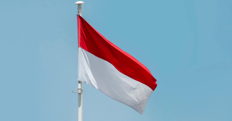 インドネシア、「134億トンのカーボンクレジット」販売へ　世界最大級の市場構想で外資呼び込み