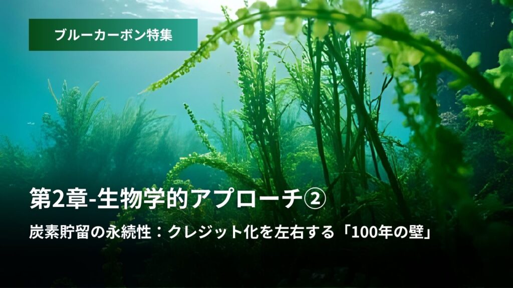 ブルーカーボン特集：第2章 – 生物学的アプローチ　②炭素貯留の永続性　クレジット化を左右する「100年の壁」