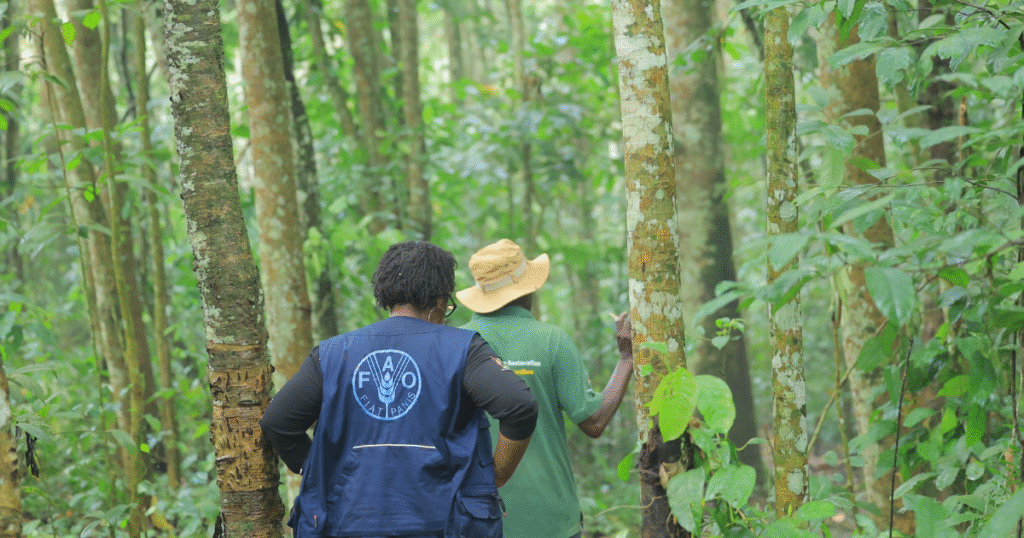 ウガンダがGCFから約47億円を獲得　アフリカ初の成果連動型気候プロジェクト始動