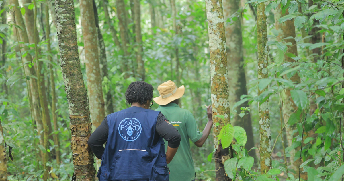 「ウガンダがGCFから約47億円を獲得　アフリカ初の成果連動型気候プロジェクト始動」のアイキャッチ画像