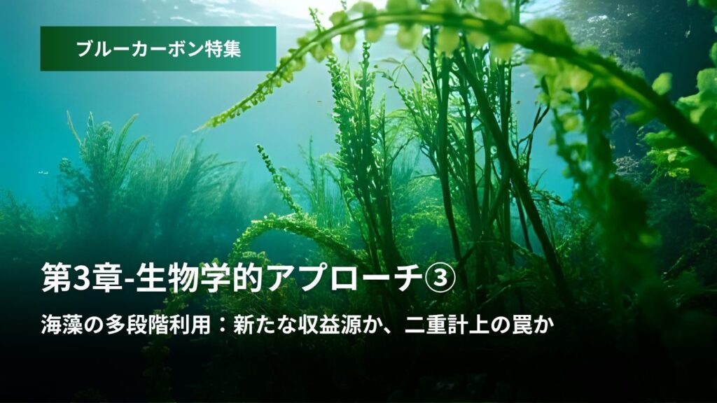 ブルーカーボン特集：第3章 – 生物学的アプローチ③  海藻の多段階利用  新たな収益源か、二重計上の罠か