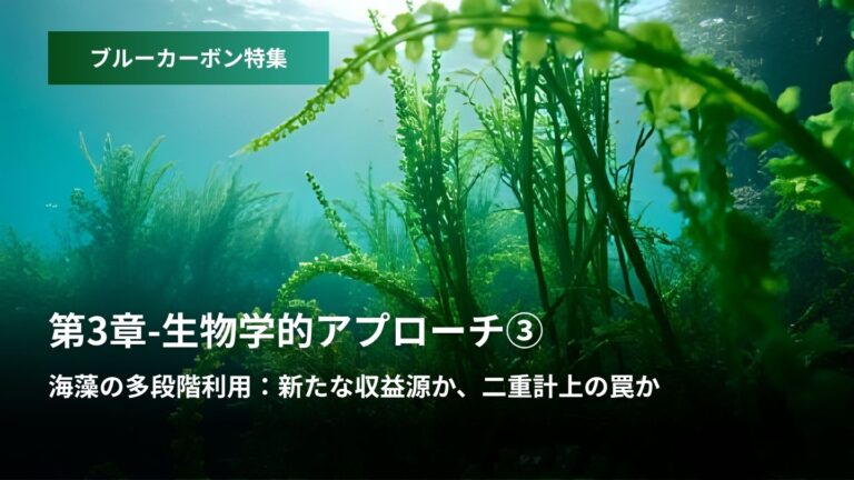 ブルーカーボン特集:第3章 – 生物学的アプローチ③  海藻の多段階利用  新たな収益源か、二重計上の罠か