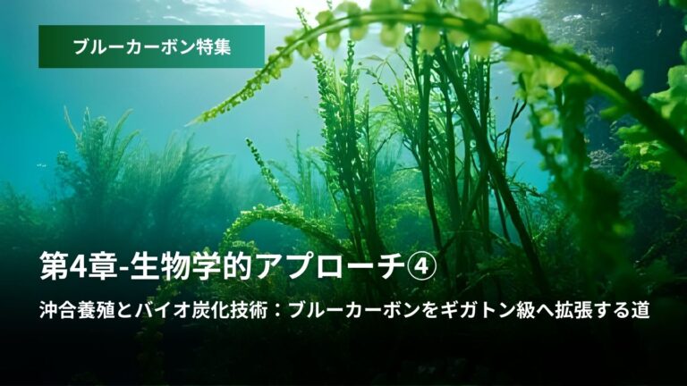 ブルーカーボン特集:第4章 – 生物学的アプローチ④  沖合養殖とバイオ炭化技術  ブルーカーボンをギ...