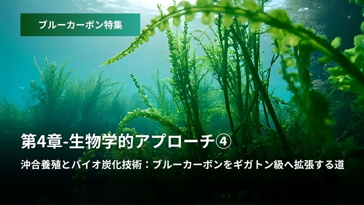 「ブルーカーボン特集:第4章 – 生物学的アプローチ④  沖合養殖とバイオ炭化技術  ブルーカーボンをギガトン級へ拡張する道」のアイキャッチ画像