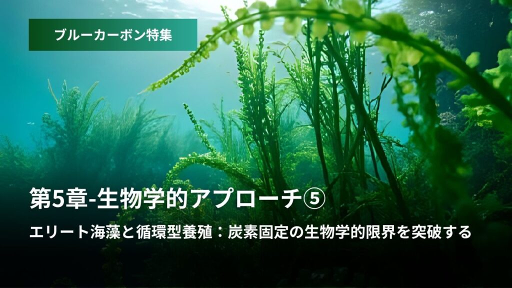 ブルーカーボン特集：第5章 – 生物学的アプローチ  ⑤エリート海藻と循環型養殖  炭素固定の生物学的限界を突破する