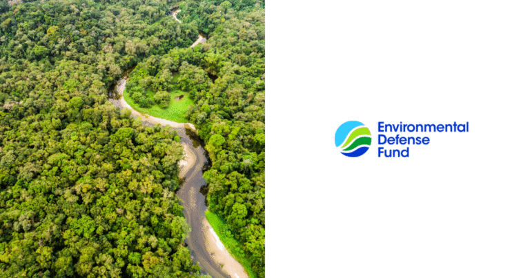 アマゾンの森林保護に新試算　「先住民保有地と保護区が森林減少抑制の鍵」　放置なら森林損失35％増・炭素...