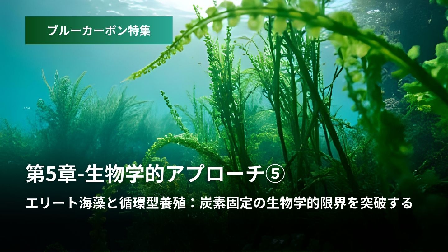 「ブルーカーボン特集：第5章 – 生物学的アプローチ  ⑤エリート海藻と循環型養殖  炭素固定の生物学的限界を突破する」のアイキャッチ画像