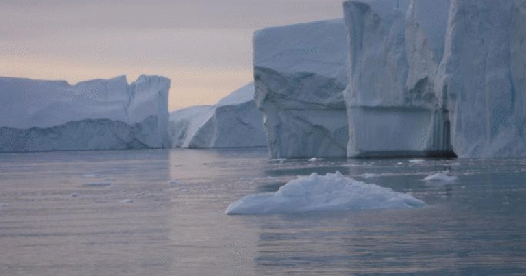 「海は人類最大のCO2除去装置」　コロンビア大と米海洋大気庁が海洋炭素観測プロジェクトを主導　無人機調査の実証へ