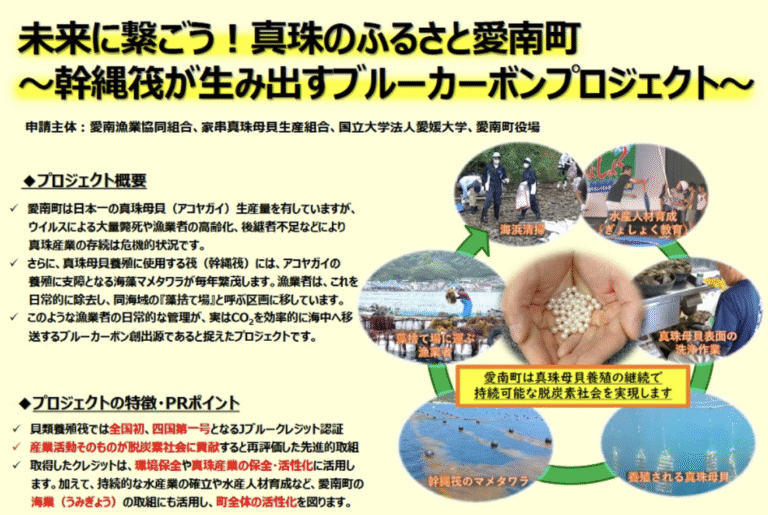 愛南町における革新的なカーボンクレジット認証 真珠養殖が温暖化防止に貢献