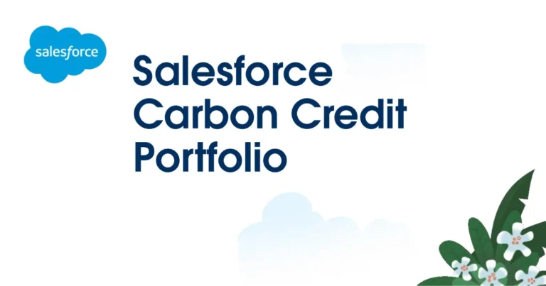 Salesforce、REDD+クレジット使用を3割削減　Verra離れの兆しとクレジット戦略の転換
