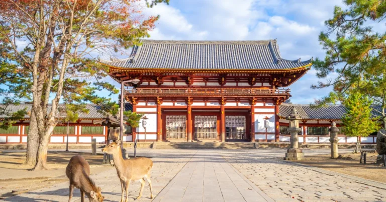 奈良県×日本総研×三井住友銀行、「みんなで減CO2（ゲンコツ）」で県民の脱炭素行動を後押し 