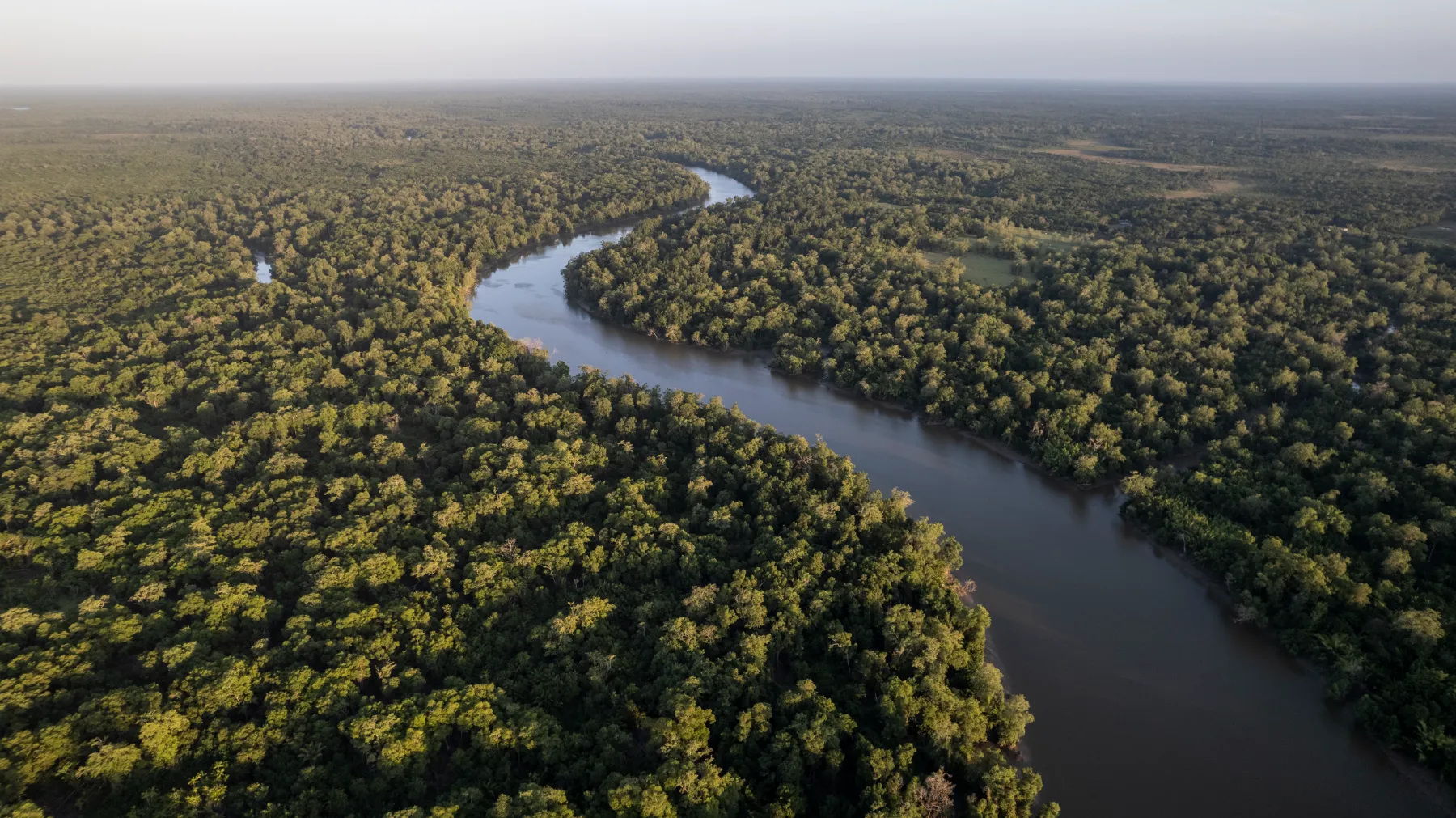 「ペトロブラスとBNDES、アマゾン再生プロジェクト開始 CO2を1,500万トン削減目指すカーボンクレジット事業」のアイキャッチ画像