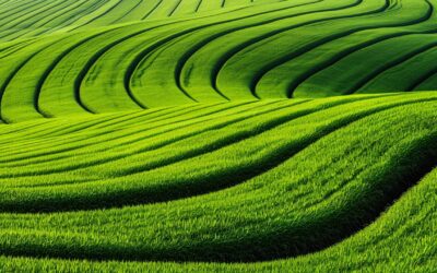 英ReGenEarthが「12.5%利回り」200億円規模のグリーンボンド発行　バイオ炭でカーボンクレジット創出へ