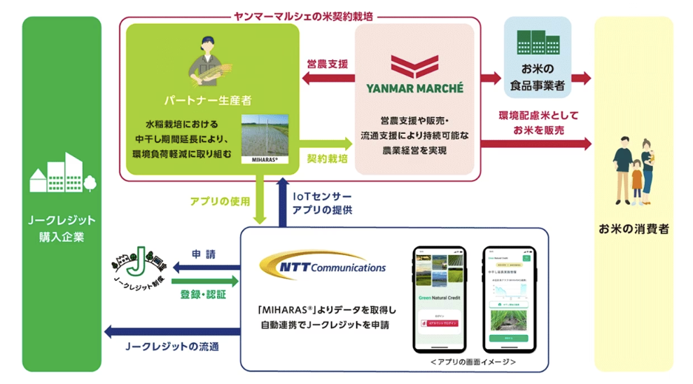 「ヤンマーマルシェとNTT Com、「水稲栽培における中干し期間延長の方法論」 によりJ-クレジットを創出、NTT Comが販売を開始」のアイキャッチ画像