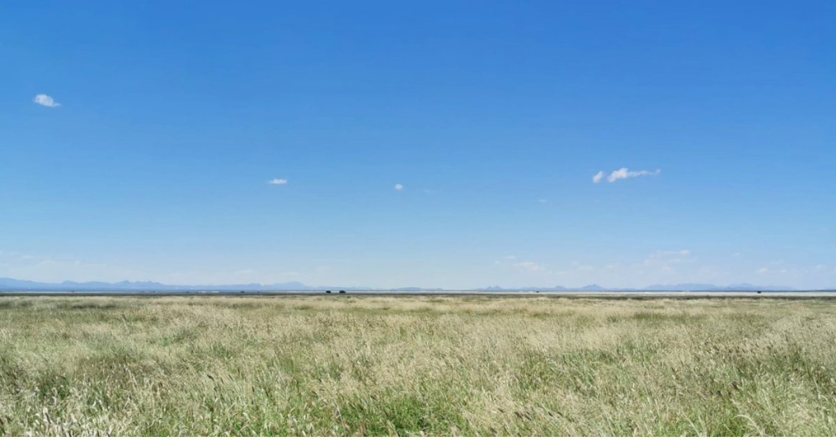 「Deloitte NSE、「土壌カーボンクレジット」に出資　メキシコ北部の草原再生支援で脱炭素加速」のアイキャッチ画像