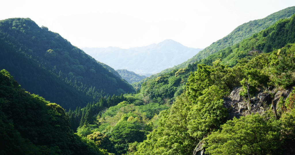 旭化成、「森林由来J-クレジット創出支援システム」を開発　延岡市で申請業務を90％削減し、DXで脱炭素と地方創生を加速