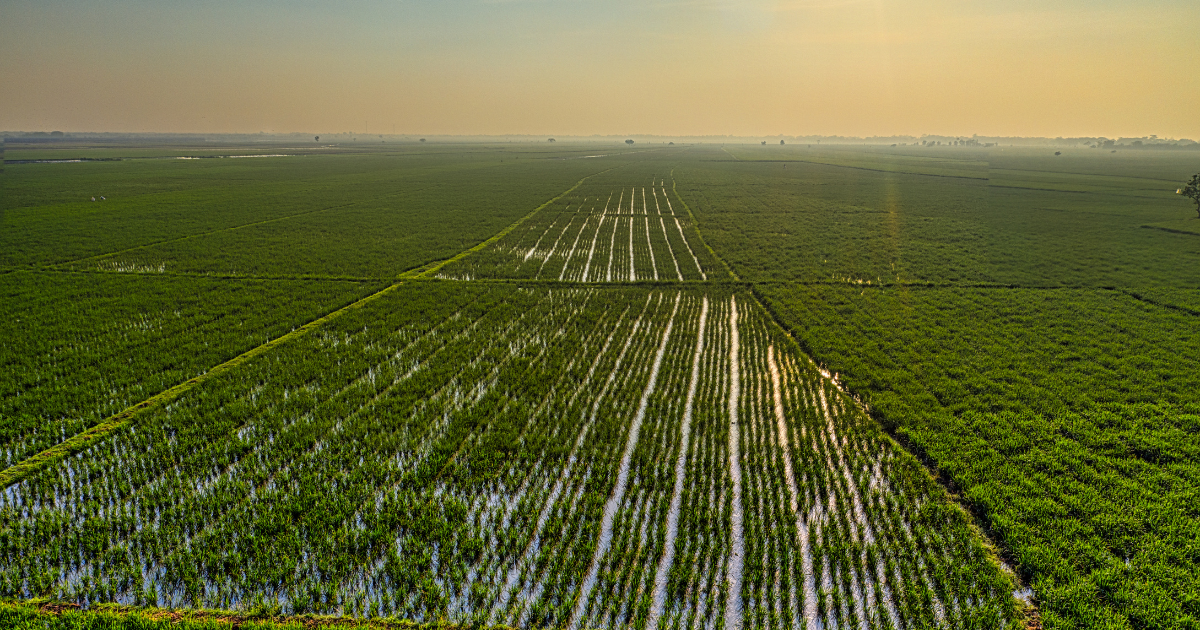 「「追加性なき排出削減は行わない」　Jizoku、渇水地域で農業系カーボンクレジット創出を停止」のアイキャッチ画像