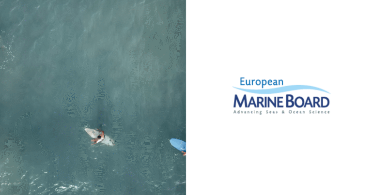 欧州海洋委員会がCOP30で警告　「海洋CDR」の大規模展開に科学的根拠なし