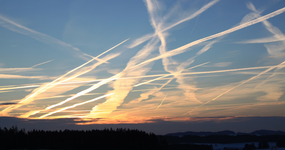 「Gold Standard、初のCORSIA適格クレジットを認証　マラウイ発の「クリーンクッキング」事業が国際航空業界の排出削減市場に参入」のアイキャッチ画像