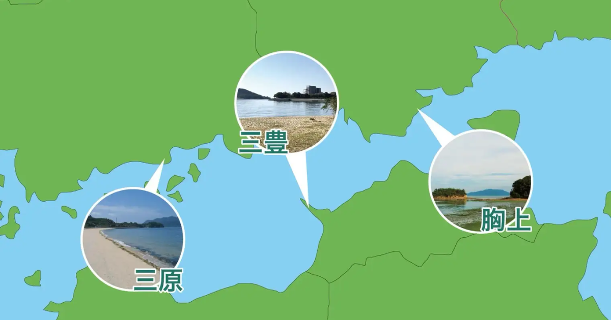 「瀬戸内海の藻場再生でCO2吸収を経済価値に　産学官連携でブルーカーボンクレジット創出へ」のアイキャッチ画像