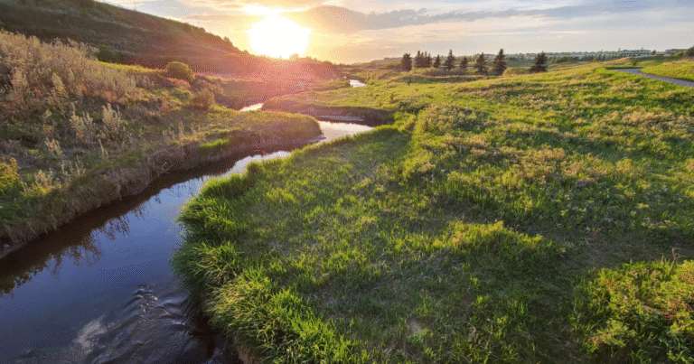 「ボランタリーカーボンクレジット市場と統合」シンガポール、Gold Standard、Verra　パリ協定6.2条のクレ...