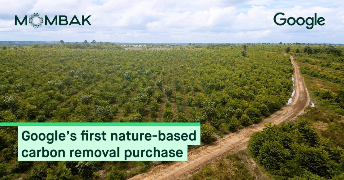 「Google、初の自然由来カーボンクレジット購入へ　ブラジル発Mombakと提携し「森林型CDR」拡大へ」のアイキャッチ画像