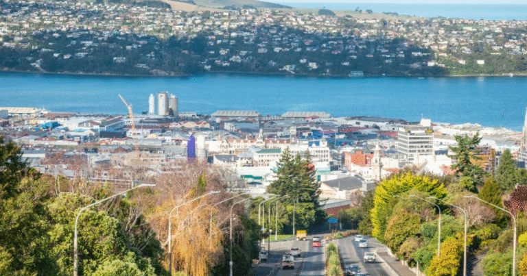 ニュージーランド政府、「非森林型CO2除去」を正式評価へ　気候変動法改正でカーボンクレジット市場の多様...