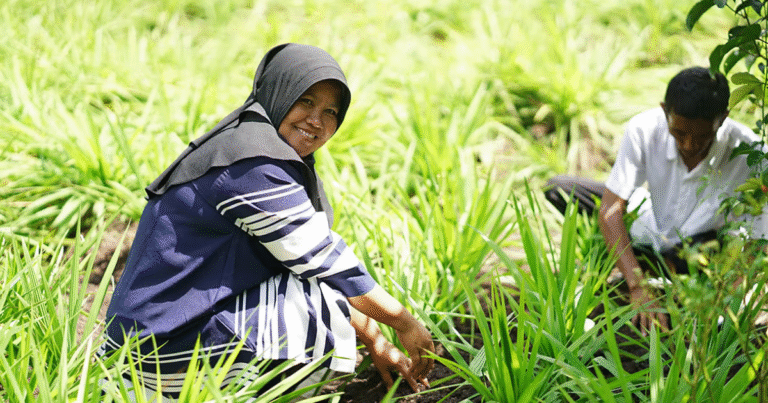 Verra「新REDD手法」適用へ前進　ペルー向け森林減少リスクマップを公開