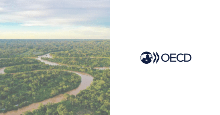 COP30へ向けたカウントダウン　「適応指標」と「1.3兆ドル気候資金」が焦点に