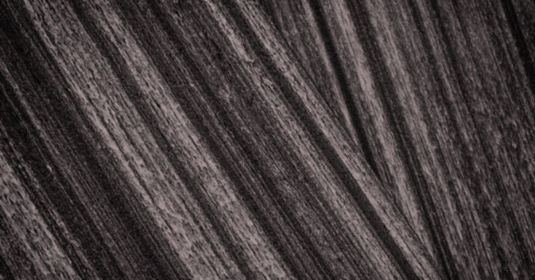 アイソメトリックがバイオ炭プロトコル更新　「森林土壌」や「小規模分散型」も対象に