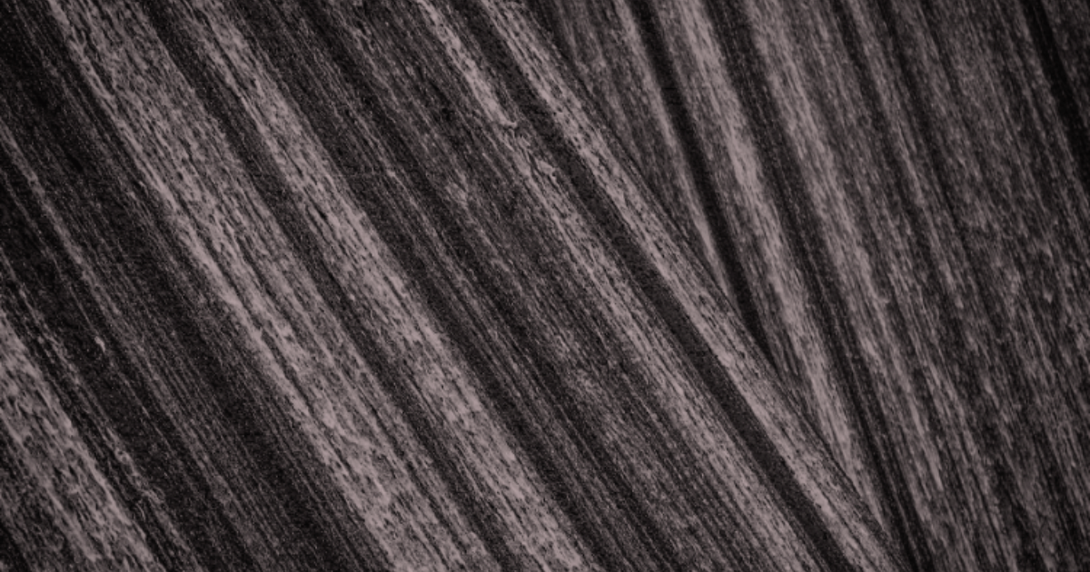 「アイソメトリックがバイオ炭プロトコル更新　「森林土壌」や「小規模分散型」も対象に」のアイキャッチ画像