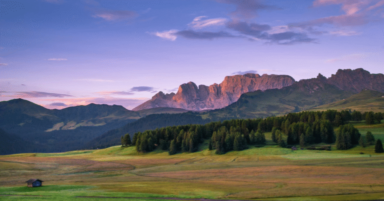 Verra、新たなサービス水準契約を公表　プロジェクト審査の「複雑度係数」を導入し透明性を強化