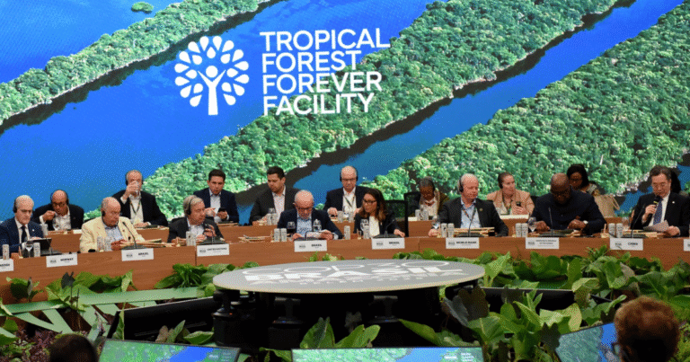 「TFFF」に5,500億ドル超の資金表明　53カ国が熱帯林保全の新ファシリティに署名
