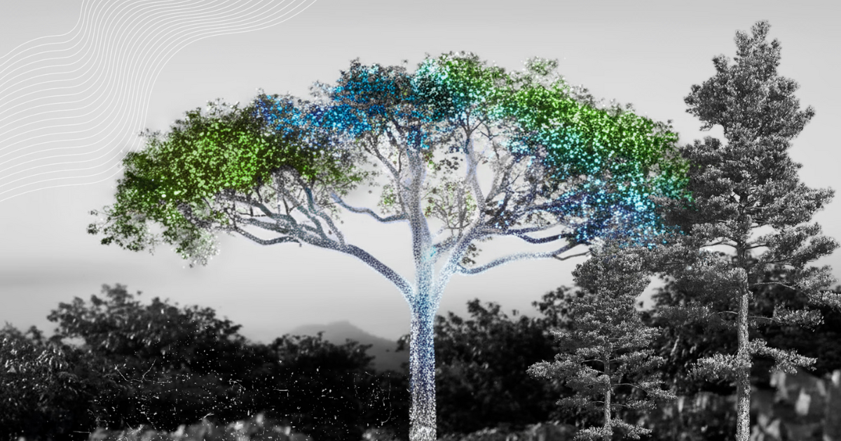 「Carbon DirectがPachamaを買収　科学とデジタル技術で「信頼されるカーボンクレジット市場」構築へ」のアイキャッチ画像