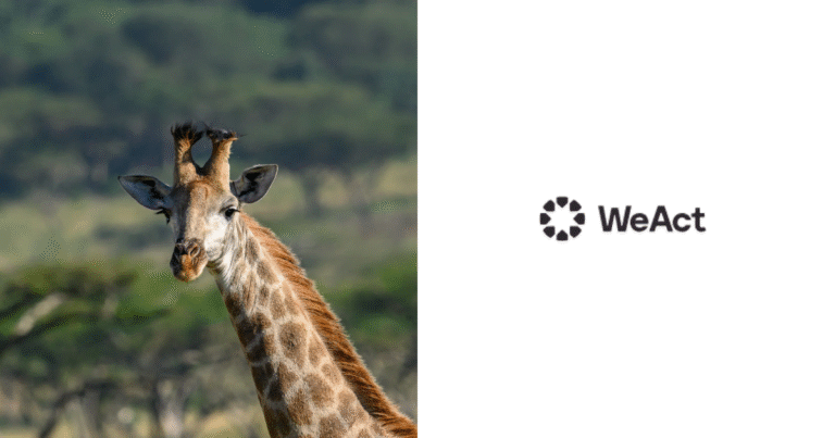 南ア初「自然由来の炭素除去」約70万トンが競売へ　国内炭素税とVCMの「二重適合」に注目