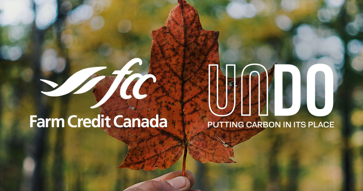 「カナダ政府系金融がCDR企業へ戦略投資　農地での「強化風化」で土壌改良とCO2除去を両立」のアイキャッチ画像