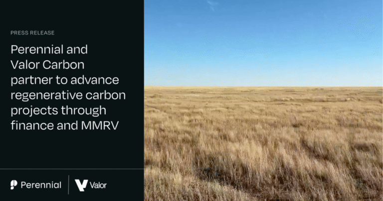 土壌炭素プロジェクトを世界展開へ、PerennialとValor Carbonが提携「資金調達の障壁」解消に動く