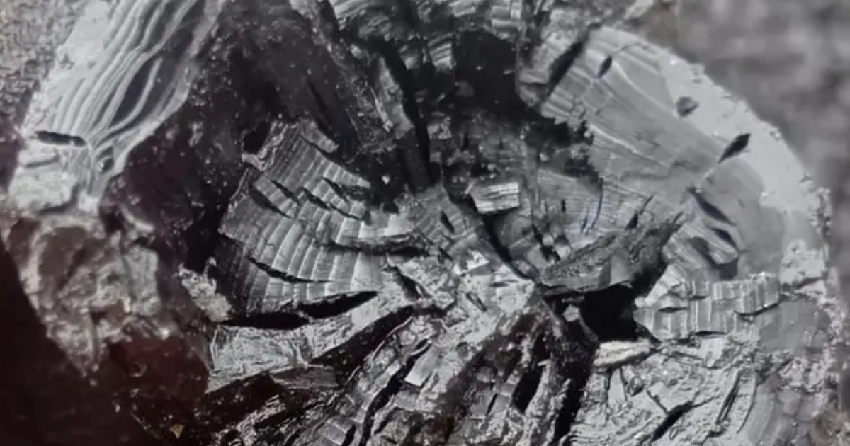 「農業残さ活用で「バイオ炭」によるCO2除去へ　エンバイオHDが新実証を開始」のアイキャッチ画像