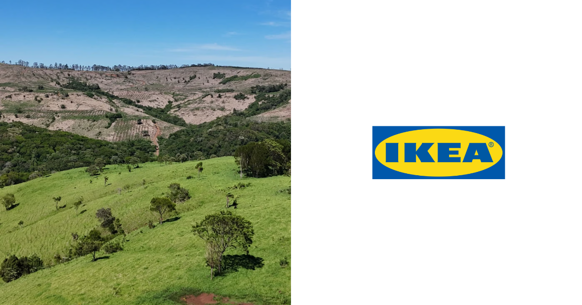 「IKEA、ブラジルで160億円の「森を使ったCO2除去」始動　BTG Pactualと連携し約4,000ヘクタールの森林再生へ」のアイキャッチ画像